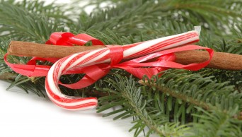 Candy cane with pine tree