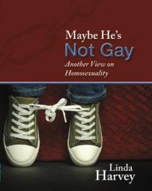 Maybe He's Not Gay cover