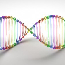 Rainbow DNA