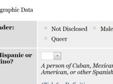 Job application with "queer" as a gender option. 