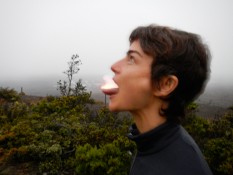 Traci Dinwiddie, Hawaii