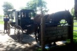 Amish and gay