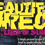 Beautiful Wreck book cover