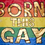 Rainbow flag with Born This Gay printed on it