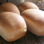 Freshly baked bread