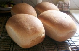 Freshly baked bread
