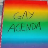 The gay agenda is a demand for the same rights as are afforded by the Constitution