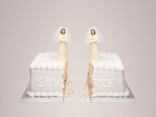 Lesbian divorce cake