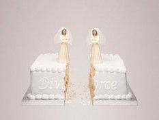 Lesbian divorce cake