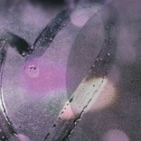 Mixology logo purple background with heart