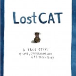 Lost Cat