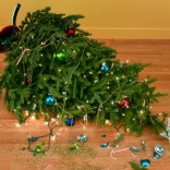fallen christmas tree