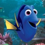 Dory
