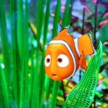 "Finding Nemo" screen shot