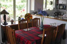 Gay homestay home kitchen