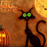 Halloween image with black cat and pumpkin