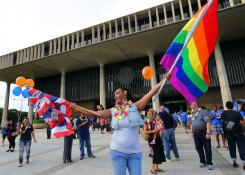 Hawaii same-sex marriage supporters