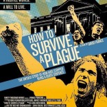 Movie poster for How to Survive a Plague