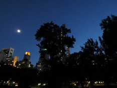 NYC Sky at night