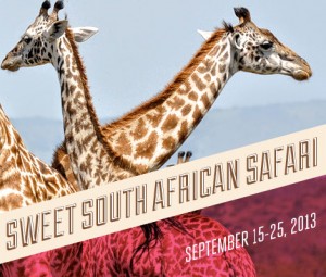 Sweet South African Safari